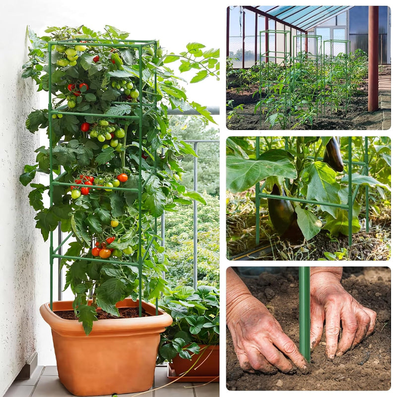 41 x 15 x 15 Inches Tomato Cages 3 Packs Heavy Duty Steel Tomato Plant Support Pole with 10pcs Clips
