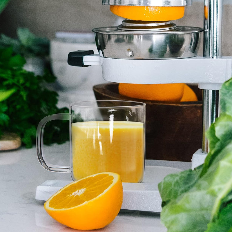 480ml/16oz Large Coffee Glass Hot/Cold Coffee Cup Tea Beverage Drinking Glass