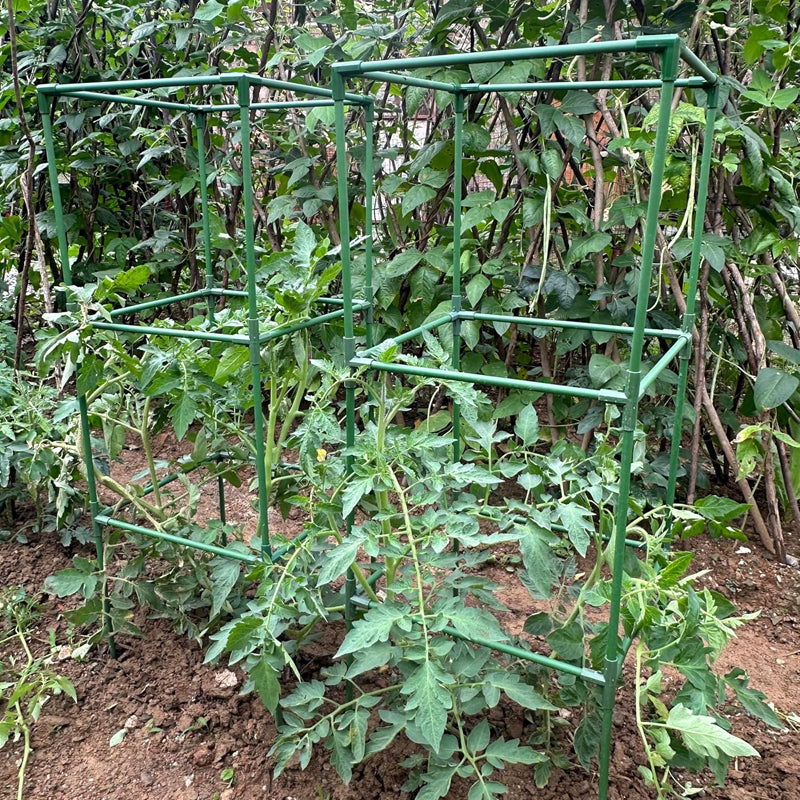 58 × 15.7 × 15.7 Inch Tomato Cages Square Tomato Plant Stakes Support Cages for Climbing Vegetables Flowers