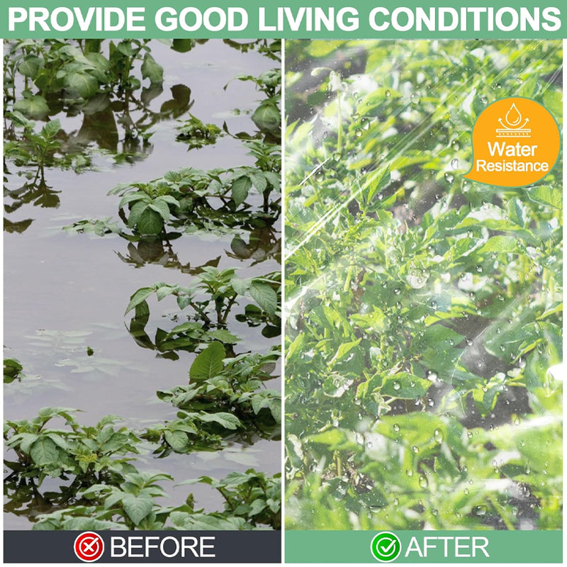 16 x 26 ft Clear Greenhouse Plastic Sheeting Toughness Plastic Cover 6 Mil Polyethylene Film