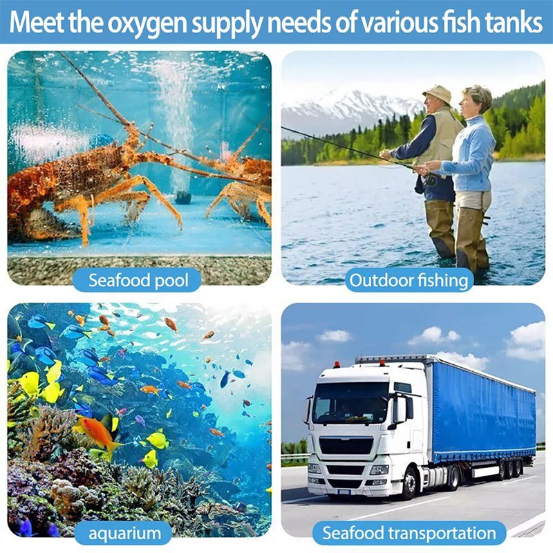 40W Pond And Lake Aeration System, Can Be Used As Septic Tank Air Pump, Koi Pond Aerator Or Hydroponic Air Pump