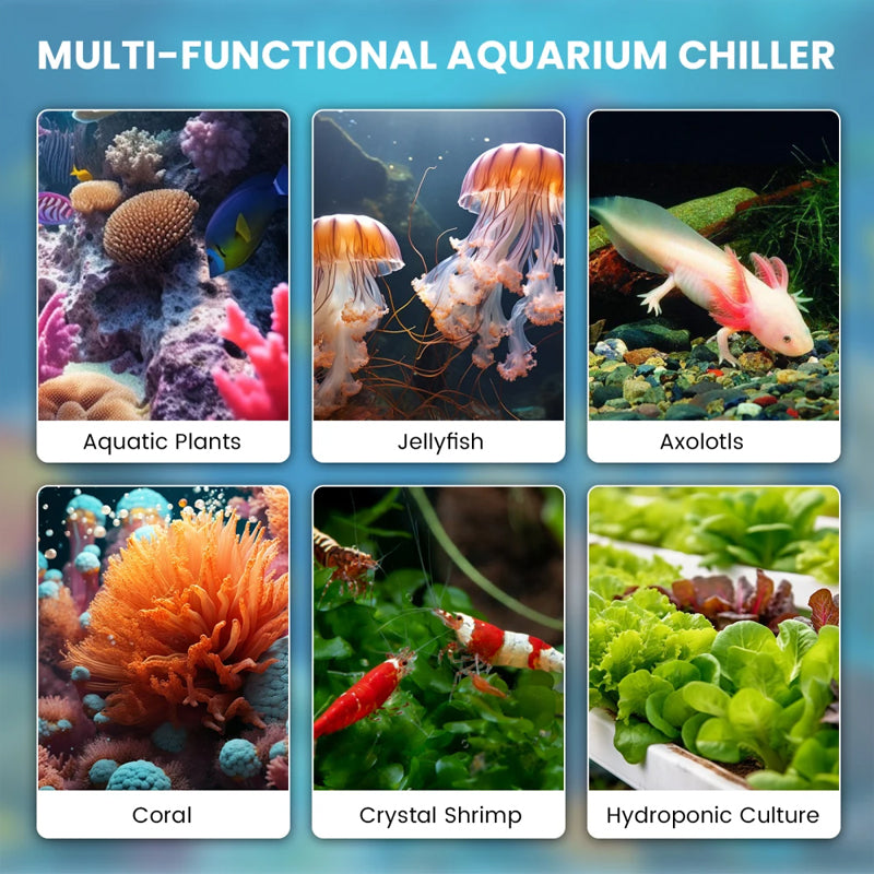 Aquarium Chiller 79Gal 1/3 Hp Water Chiller For Hydroponics System Home Use Axolotl Fish Coral Shrimp 110V With Pump And Pipe