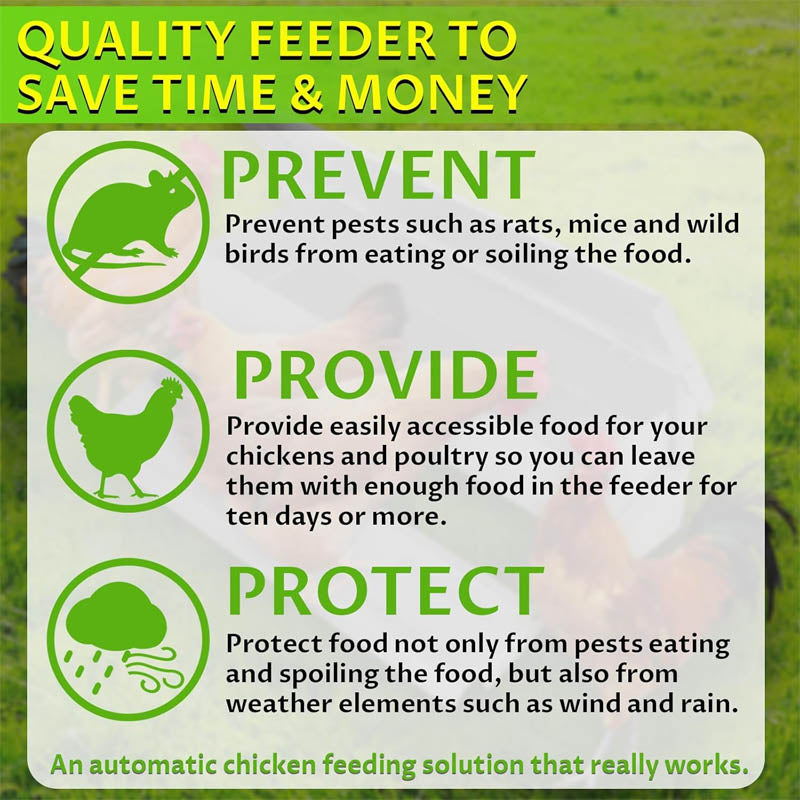 Automatic Poultry Feeder 10 lbs Capacity Chicken Feeders No Waste with Lid Weatherproof