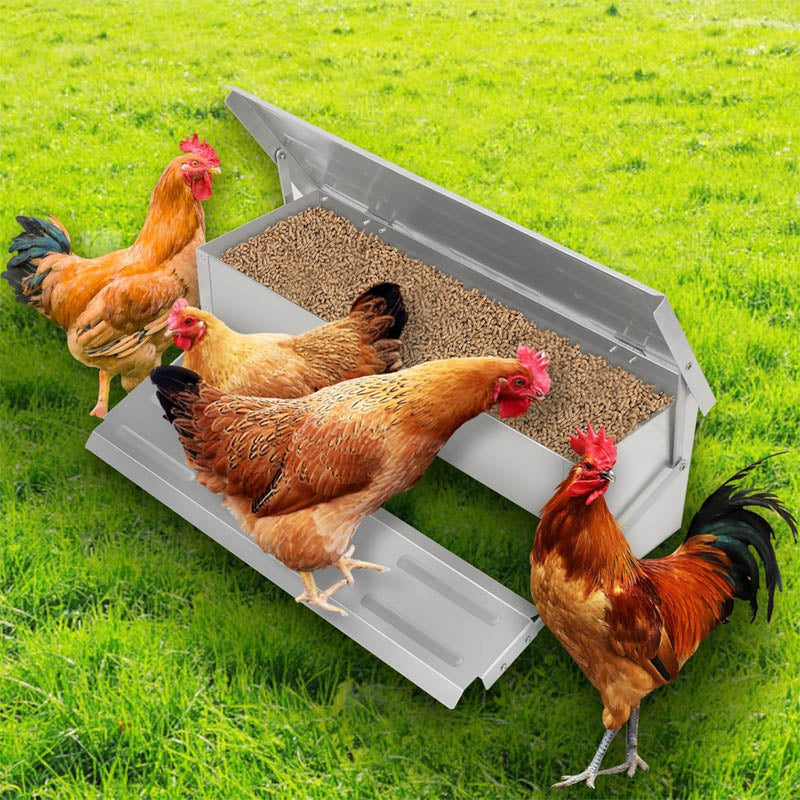 Automatic Poultry Feeder 10 lbs Capacity Chicken Feeders No Waste with Lid Weatherproof