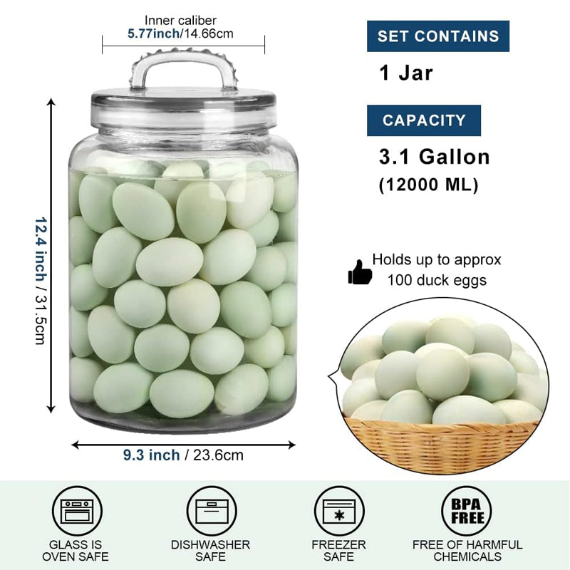 3 Gallon Glass Rice Bucket Glass Bottle Sealed Jar Kitchen Food Storage Moisture-proof Storage Jar 1 Set