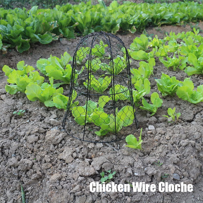 Garden Net, Wire Plant Protection Cover With Foot Fork