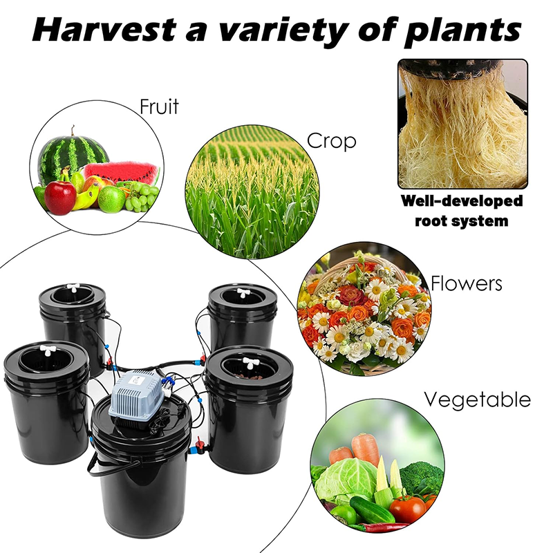 DWC Hydroponic System, Hydroponic Planting System, 5 Gallon DWC Hydroponic Bucket Set, Multi Bucket Hydroponics Machine, Vegetable Drip Irrigation System (4 Buckets + Reservoir Kit)