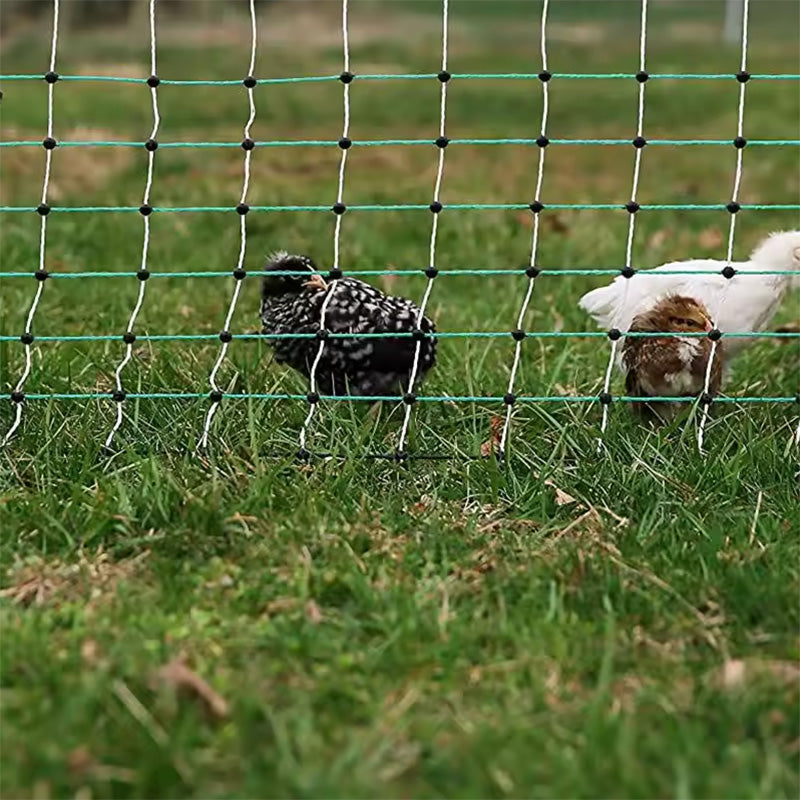 Double Single Spiked Poultry Netting Electric Fence Netting For Goat Sheep Chicken Dog