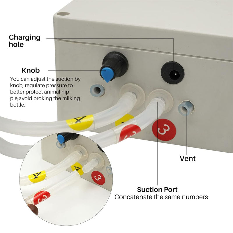 Electric Milking Machine 3 L 304 Stainless Steel Bucket Electric Automatic Pulsation Vacuum Milker with 2 Teat Cups