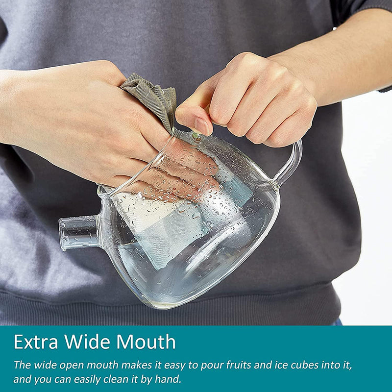 1000ml Glass Teapot Glass Tea Kettle with Removable Clear Filter,Stovetop Ideal Tea Set for Blooming Flower Tea