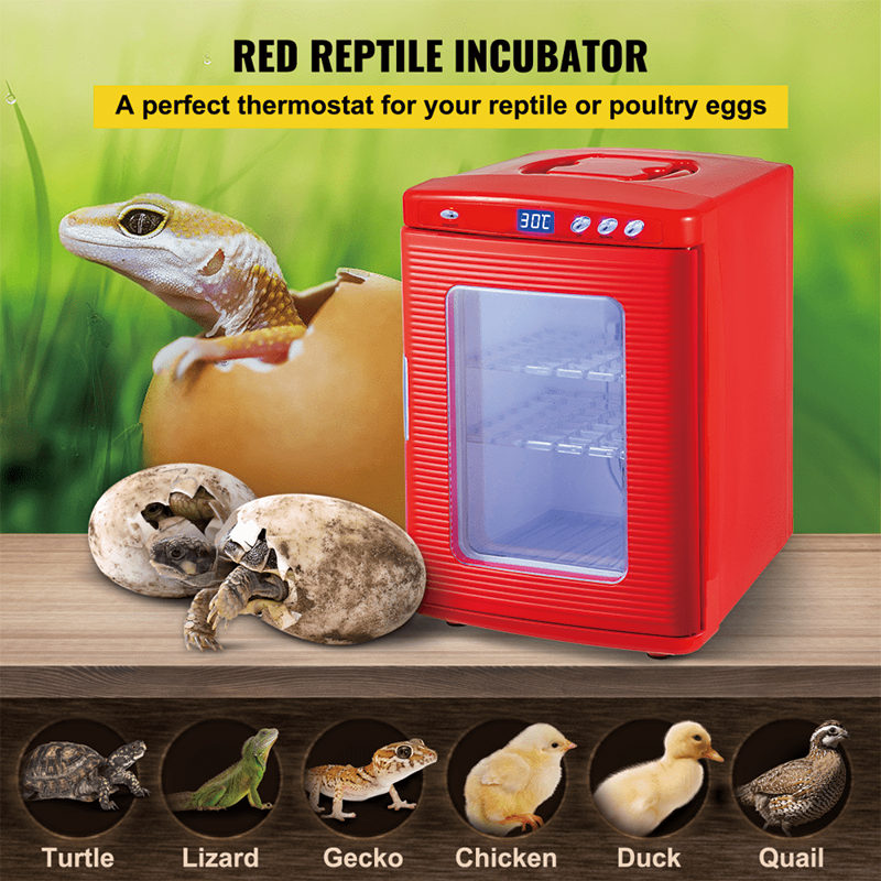 Reptile Incubator 25L Scientific Lab Incubator Digital Incubator Cooling and Heating 5-60°C Reptile Egg Incubator 12V/110V Work for Small Reptiles,Natto,Yeast Fermented Bread Maker