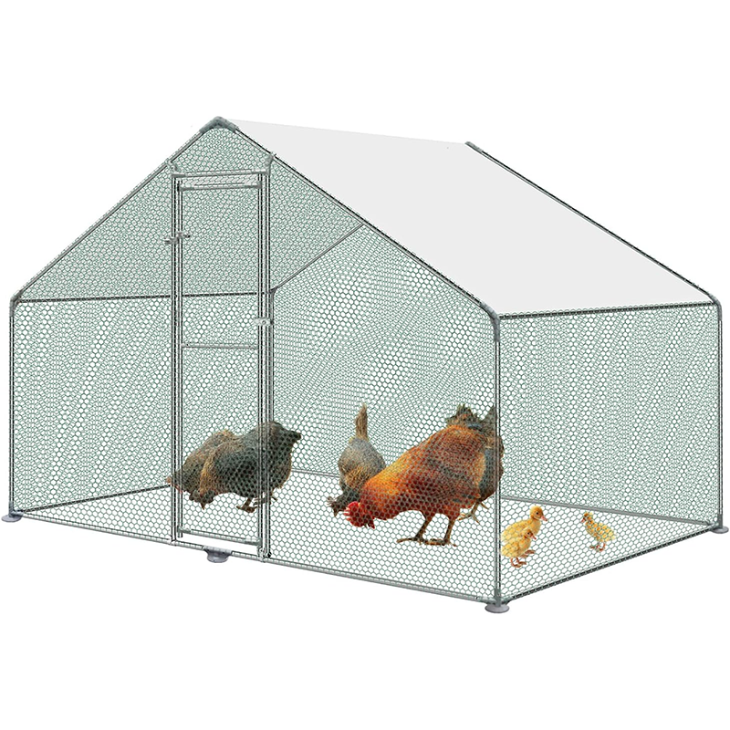 Metal Chicken Coop, Metal Chicken House, 3 x 2 x 2 m, Chicken House Roof, Galvanized Pe Steel Frame