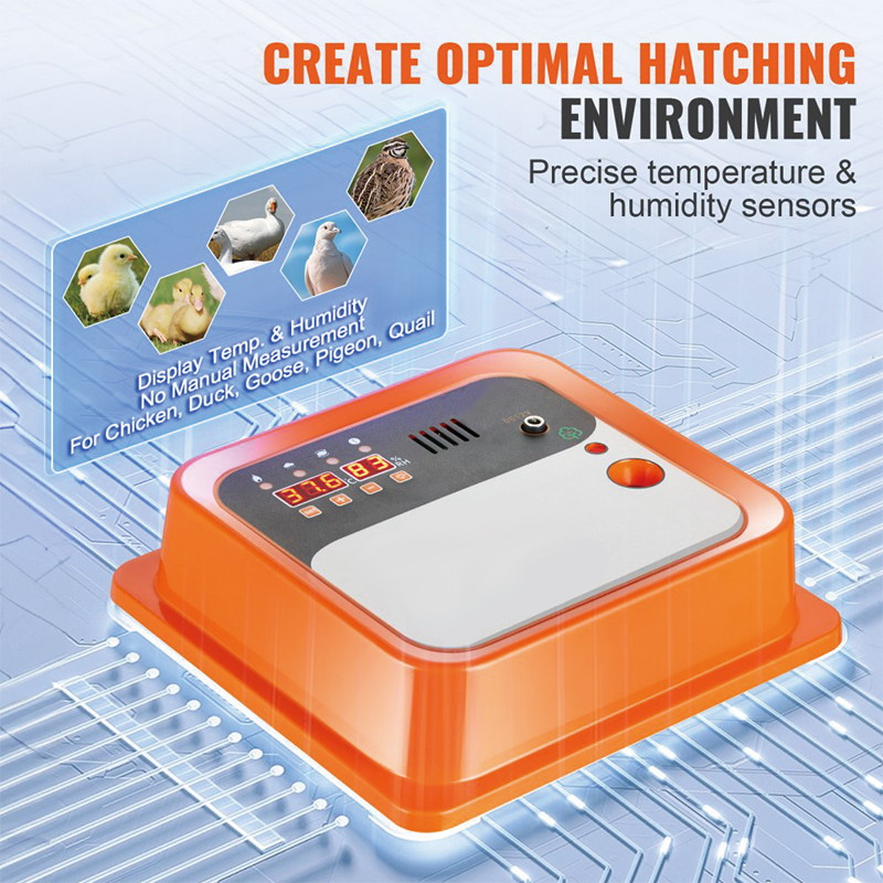 Incubators for Hatching Eggs,Egg Incubator, Automatic Egg Turner with with Temperature and Humidity Control, 12 Eggs Poultry Hatcher with ABS Transparent Shell for Chicken, Duck, Quail