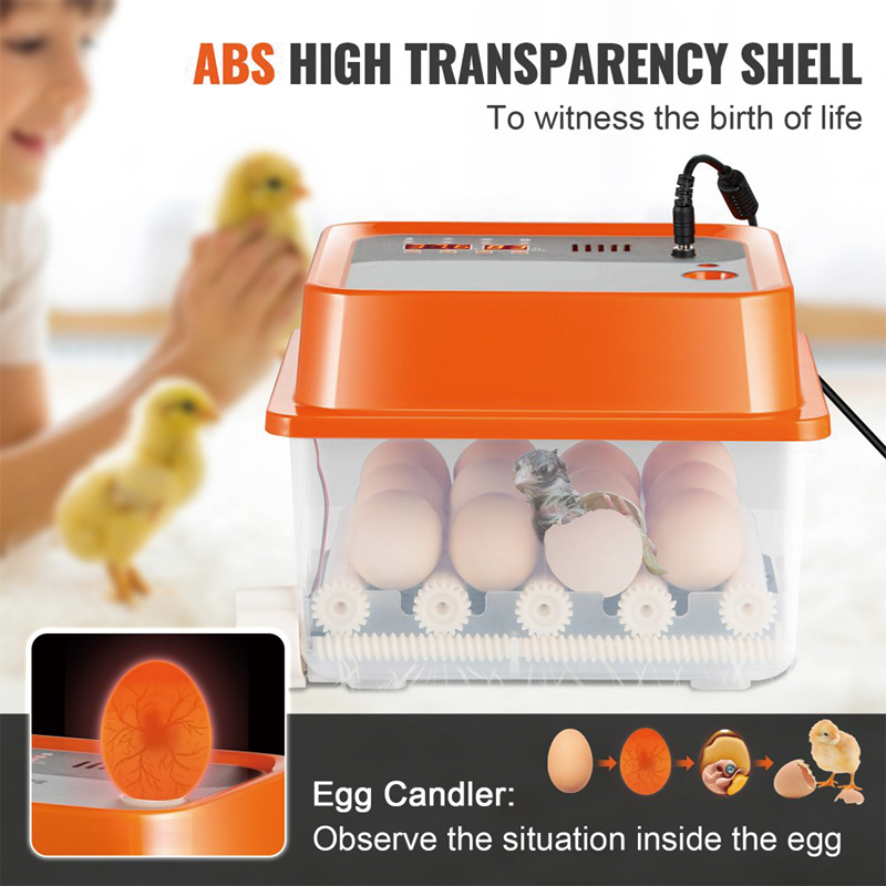 Incubators for Hatching Eggs,Egg Incubator, Automatic Egg Turner with with Temperature and Humidity Control, 12 Eggs Poultry Hatcher with ABS Transparent Shell for Chicken, Duck, Quail