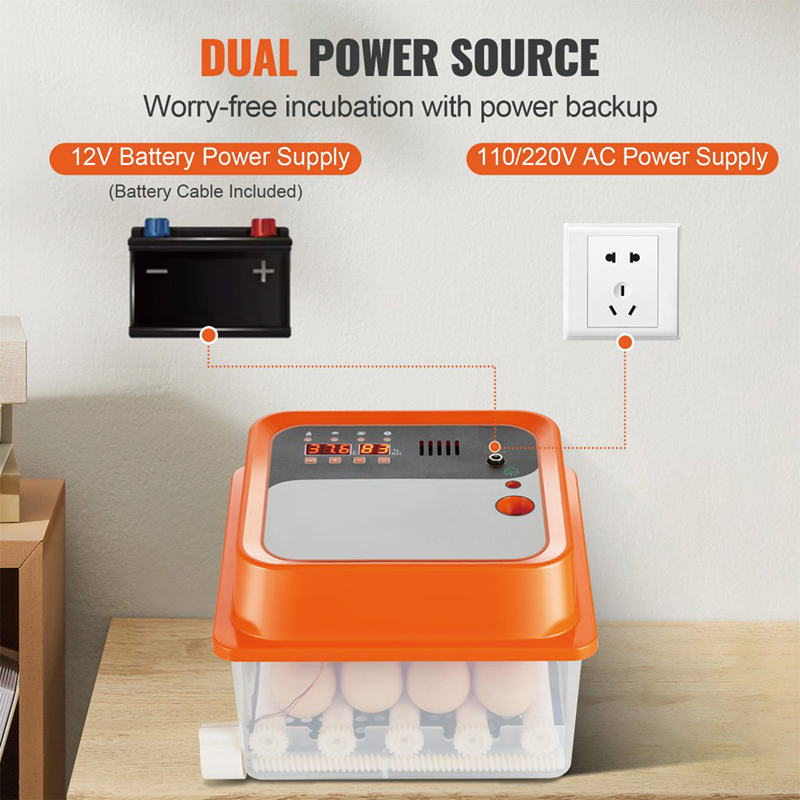 Incubators for Hatching Eggs,Egg Incubator, Automatic Egg Turner with with Temperature and Humidity Control, 12 Eggs Poultry Hatcher with ABS Transparent Shell for Chicken, Duck, Quail