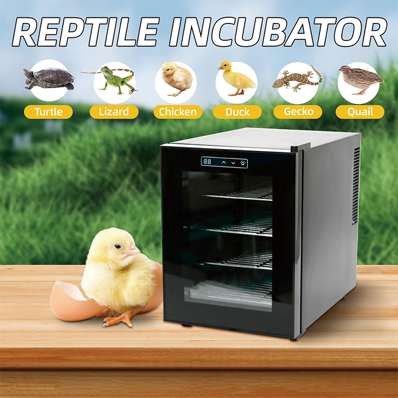 Reptile Incubator, 16L Portable Reptile Scientific Lab Incubator with 5°C-104°F, 110V Work for Small Reptiles