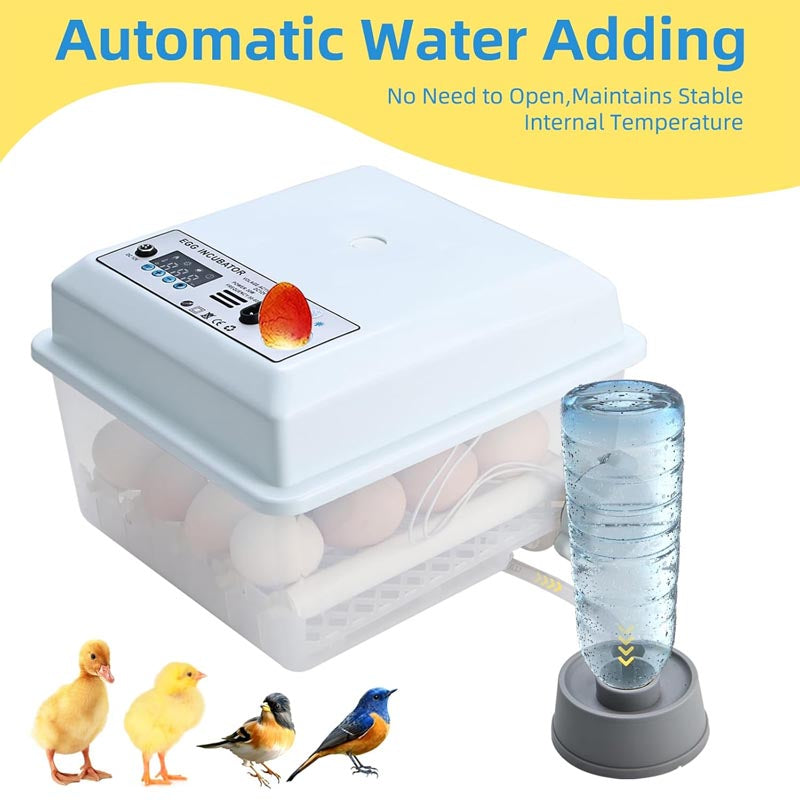 Reptile Incubator 16 Egg Incubator with Temperature and Humidity Control for Chicken, Duck, Quail