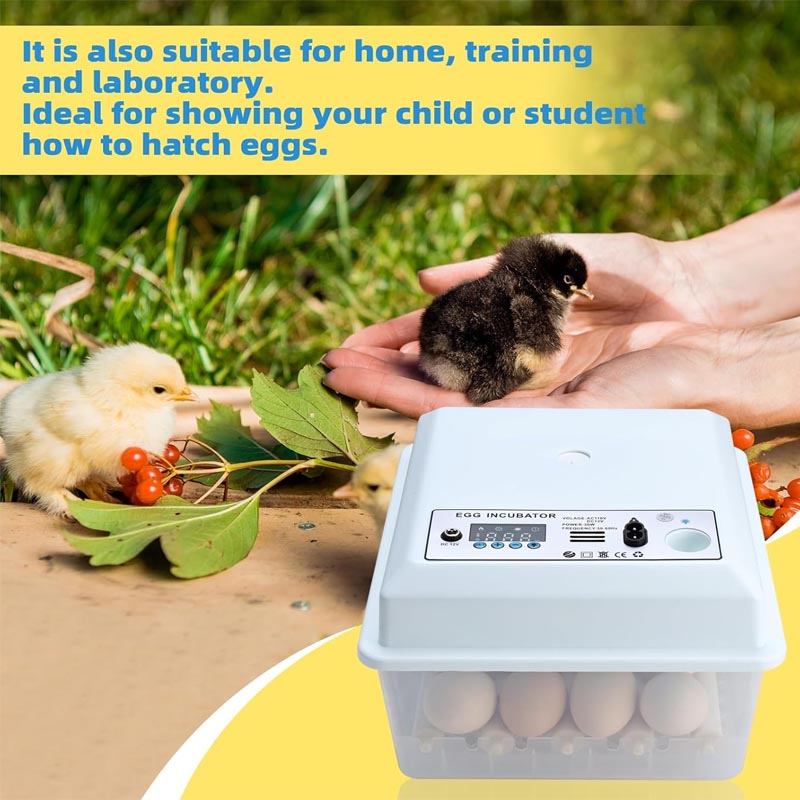 Reptile Incubator 16 Egg Incubator with Temperature and Humidity Control for Chicken, Duck, Quail