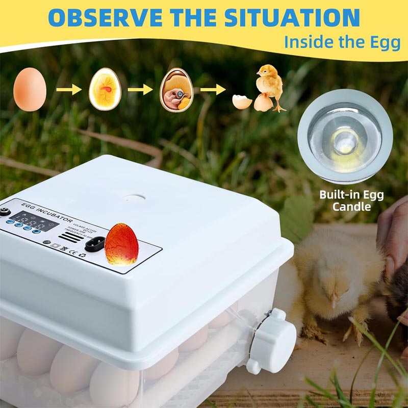 Reptile Incubator 16 Egg Incubator with Temperature and Humidity Control for Chicken, Duck, Quail