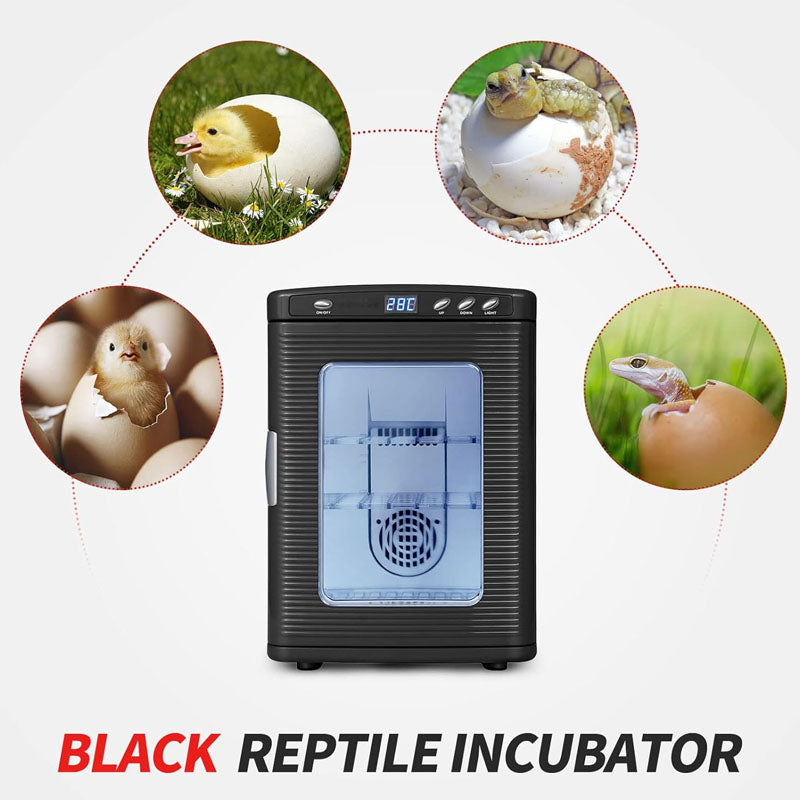 25L Reptile Incubator Reptile Scientific Lab Incubator with 5°C-60°C 12V/110V Heating and Cooling for Small Reptiles (Black)