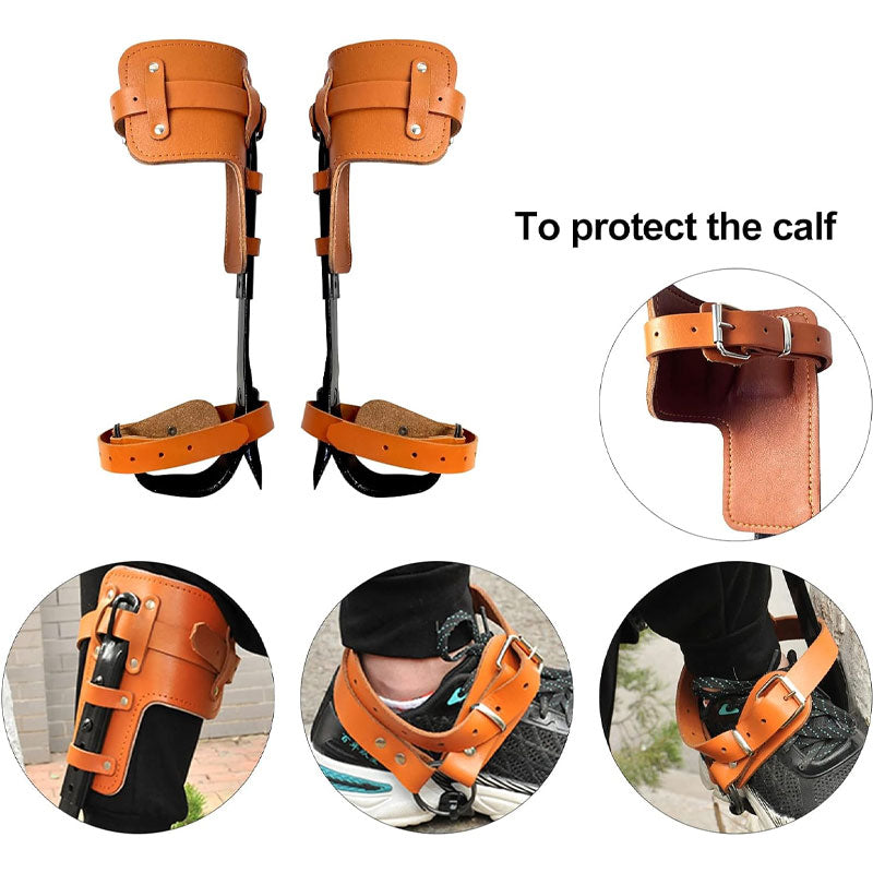 Adjustable Upright Tree Climbing Tool, Tree Climbing Spikes For Climbers, Loggers, Game Watchers, Fruit Pickers