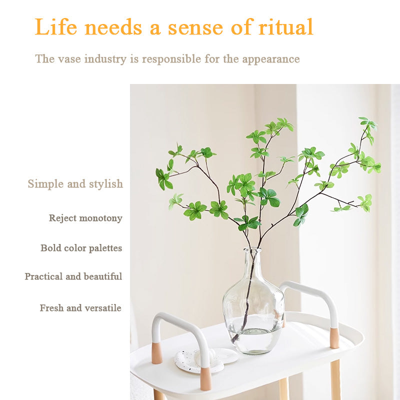 High-End Vase Ornaments, Simple Living Room Flower Arrangement Glass Transparent Vase