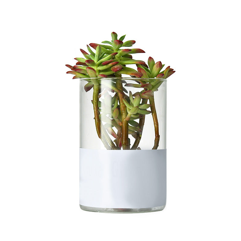 Simple Succulent Glass Flower Pot, Wholesale Ins Style Desktop Hydroponic Plants Transparent European Potted Glass Small Vase