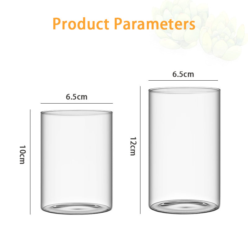 Simple Succulent Glass Flower Pot, Wholesale Ins Style Desktop Hydroponic Plants Transparent European Potted Glass Small Vase