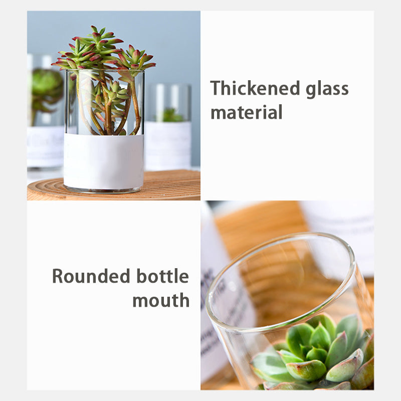 Simple Succulent Glass Flower Pot, Wholesale Ins Style Desktop Hydroponic Plants Transparent European Potted Glass Small Vase