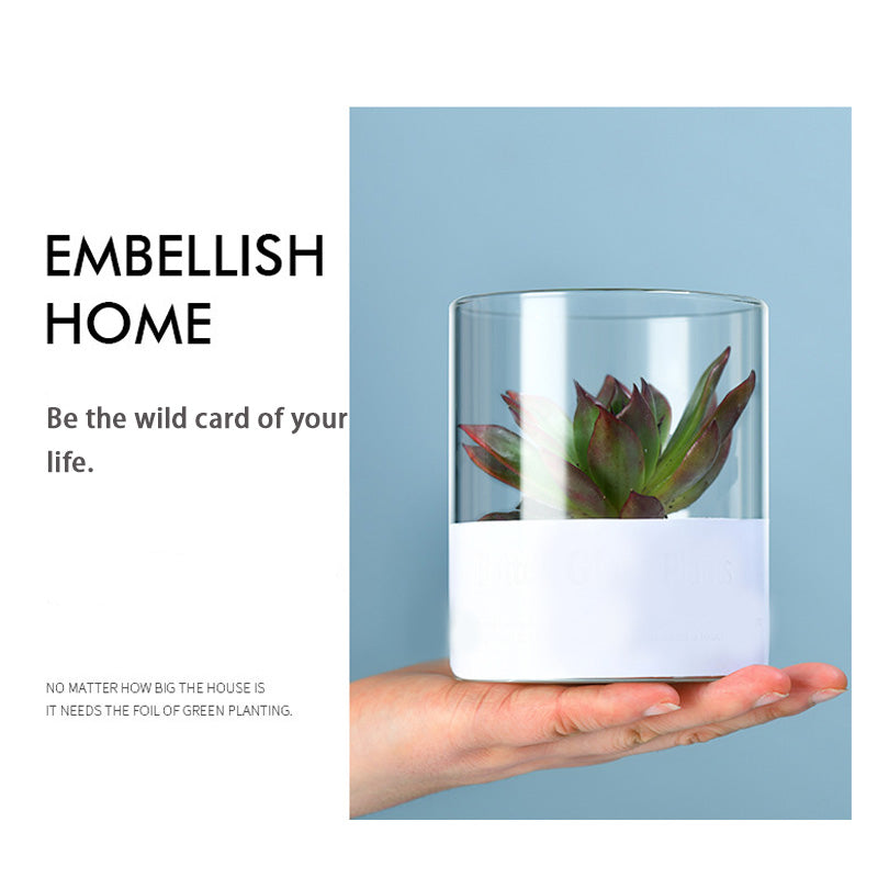 Simple Succulent Glass Flower Pot, Wholesale Ins Style Desktop Hydroponic Plants Transparent European Potted Glass Small Vase