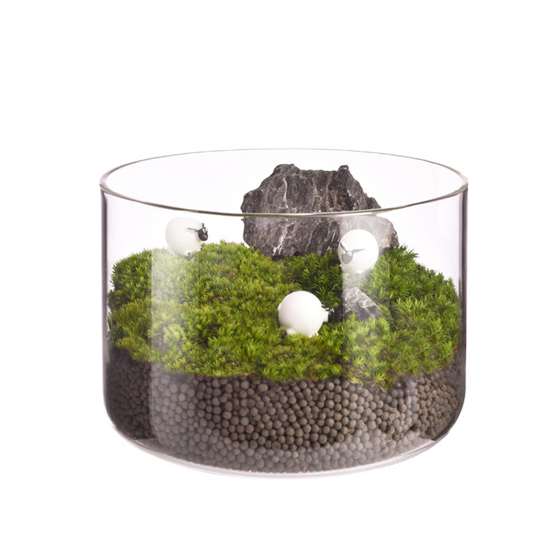 High Borosilicate Glass Vase, Micro Landscape Hydroponic Plant Straight Glass Jar, Ornamental Living Room Flower Arrangement Art Vase