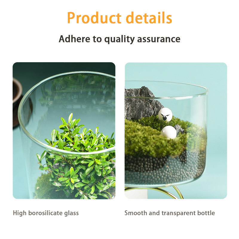 High Borosilicate Glass Vase, Micro Landscape Hydroponic Plant Straight Glass Jar, Ornamental Living Room Flower Arrangement Art Vase