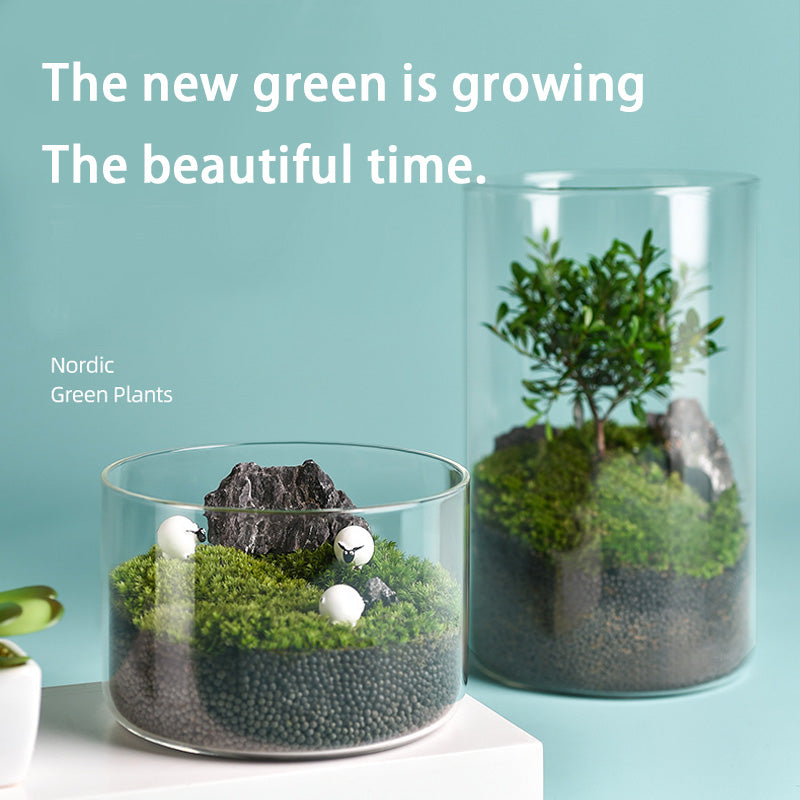 High Borosilicate Glass Vase, Micro Landscape Hydroponic Plant Straight Glass Jar, Ornamental Living Room Flower Arrangement Art Vase