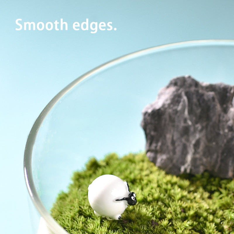 High Borosilicate Glass Vase, Micro Landscape Hydroponic Plant Straight Glass Jar, Ornamental Living Room Flower Arrangement Art Vase