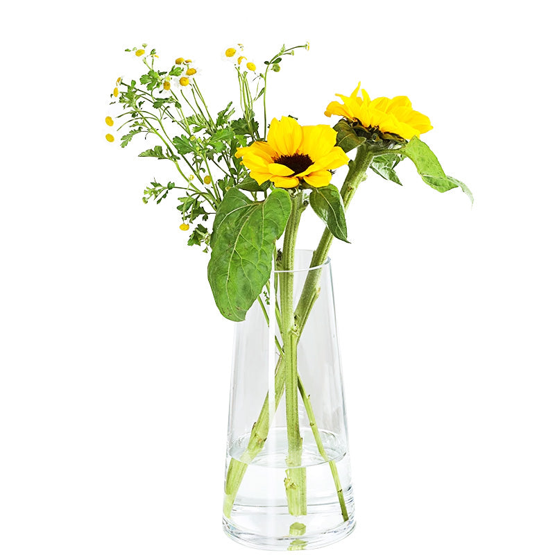 Creative And Simple Ins Style Glass Vase, Water-Filled Transparent Internet Celebrity Living Room Vase, Dried Flower Decorative Vase